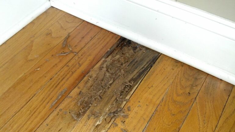 a hardwood floor with rotting wood