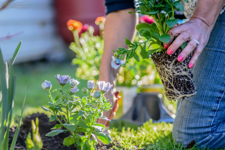 a woman planting flowers to improve curb appeal