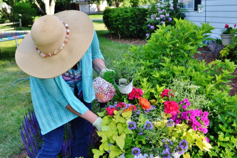 woman planting new flowers in garden